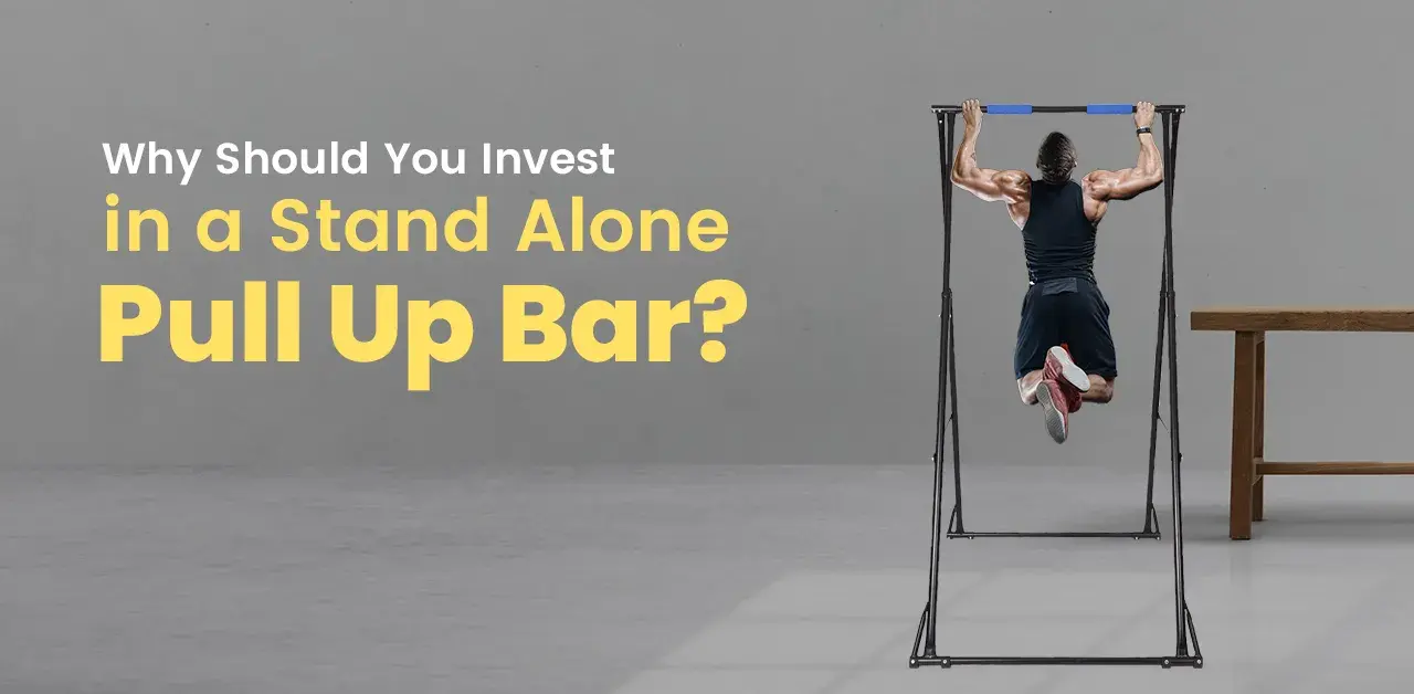Stand Alone Pull Up Bar